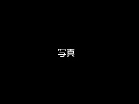 サンプル